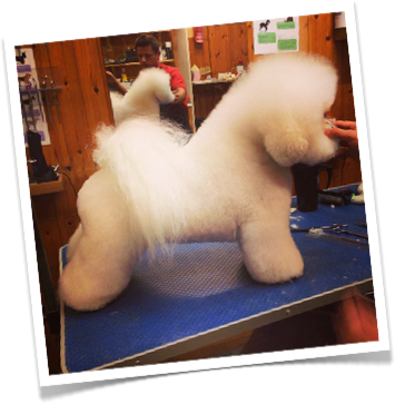 FOR OLDER ARTICLES CLICK HERE