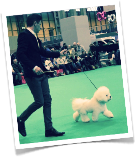 Arthur getting ready for the big day.